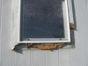 Mobile Home Windows