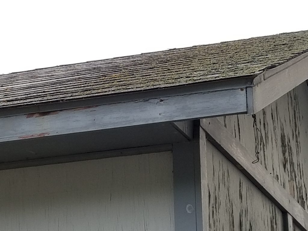 How to Repair a Shed