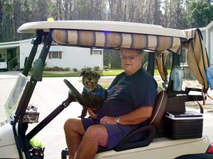 pet in community golf cart