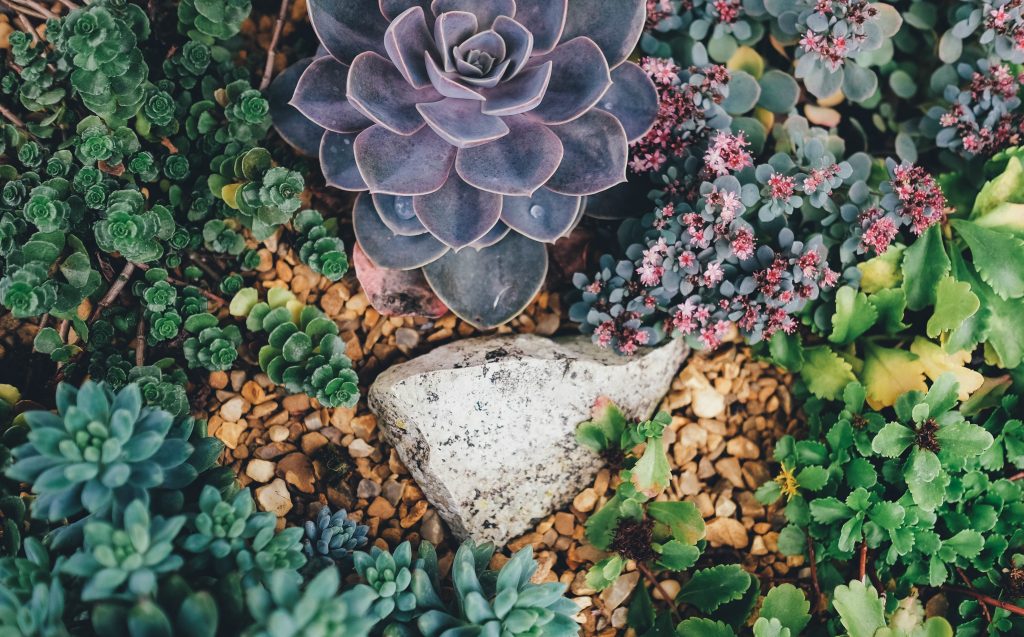 Small Space Garden in Orlando