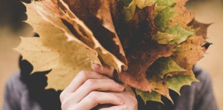 Fall Cleanup Checklist for Your Manufactured Home fall clean up