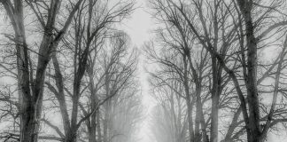 How to Winterize Your Tiny House Winterize Your Tiny House