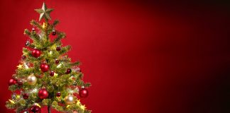 Five Ways to Get Your Small House Christmas Ready Small House Christmas Tree