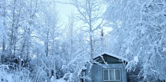 8 Tips for Staying Warm in the Coldest Weather Months Stay warm in a mobile home in the woods