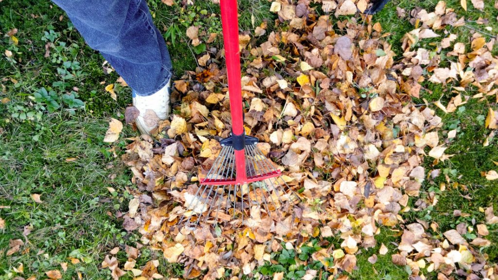 rake fall mobile home maintenance