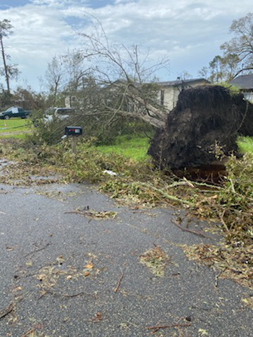 manufactured home endures hurricane laura downed tree