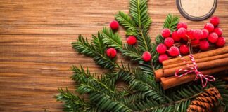 An Elf’s Guide to Holiday Decorating Ideas For Your Manufactured Home